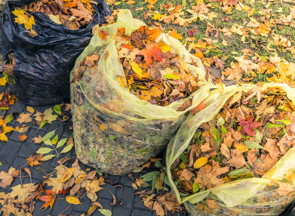 Fall-Proofing Your Colorado Property: A Manager's Guide