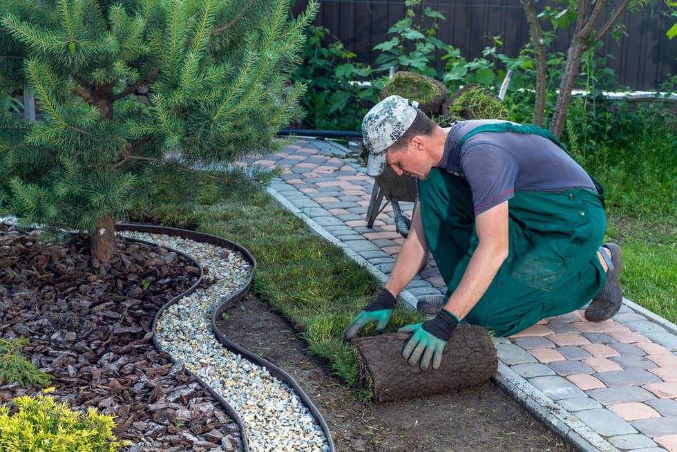 Winter Landscaping Tips: Keep Your Property Flourishing